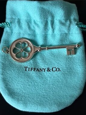 Tiffany & Co. Silver Blossom Daisy Diamond Key Pendant Large Size